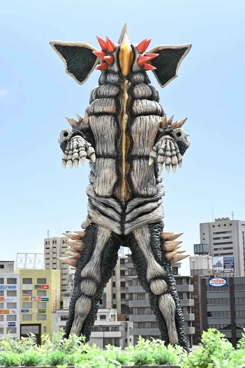 No Image